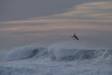 Load image into Gallery viewer, ION Surfboard Pads ION Maiden 3pcs (OL) 2020