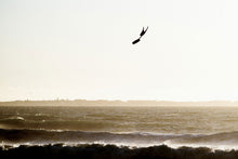 Carica l'immagine nel visualizzatore di Gallery, action_shot