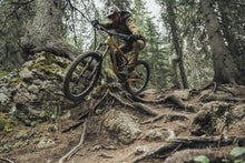 Load image into Gallery viewer, ION MTB Gloves Shelter Amp Softshell 2024