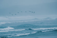 Lade das Bild in den Galerie-Viewer, Herren Neoprenanzug Seek Amp 6/5 Back Zip