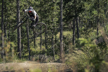 Cargar imagen en el visor de la galería, ION MTB Gloves Scrub 2022