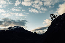 Lade das Bild in den Galerie-Viewer, Herren MTB Shorts Logo Plus