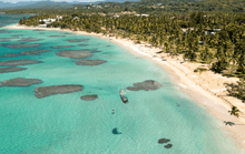 Load image into Gallery viewer, Duotone Juice D/LAB 2022 2022