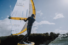 Carica l'immagine nel visualizzatore di Gallery, ION Harness Wing Waist Arc 2024