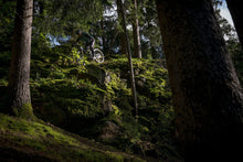 Load image into Gallery viewer, ION MTB Vest Thermolite Hybrid Shelter Men 2024