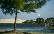 Charger l'image dans la galerie, action_shot