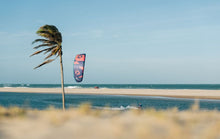 Charger l'image dans la galerie, Duotone Evo 2024