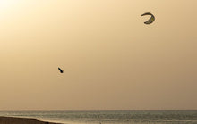 Charger l'image dans la galerie, action_shot