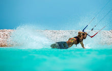 Charger l'image dans la galerie, action_shot