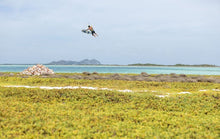 Cargar imagen en el visor de la galería, Duotone Select SLS 2024