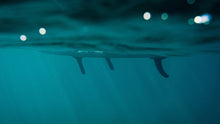 Carica l'immagine nel visualizzatore di Gallery, action_shot