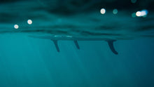 Carica l'immagine nel visualizzatore di Gallery, action_shot