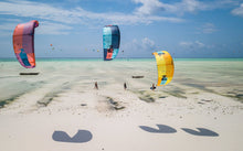 Charger l&#39;image dans la galerie, Dice 2019
