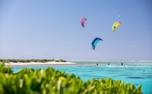 Charger l&#39;image dans la galerie, Dice 2019
