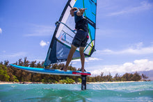 Cargar imagen en el visor de la galería, Fanatic Stingray Foil LTD 2020