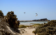 Charger l&#39;image dans la galerie, Duotone Evo D/LAB 2024
