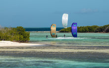 Carica l'immagine nel visualizzatore di Gallery, action_shot