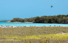 Charger l&#39;image dans la galerie, action_shot
