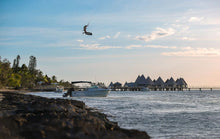 Charger l&#39;image dans la galerie, Duotone Evo D/LAB 2024
