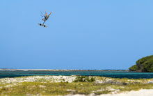 Carica l'immagine nel visualizzatore di Gallery, action_shot