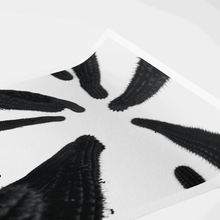 Lade das Bild in den Galerie-Viewer, ION No Straight lines Fine Print 2024